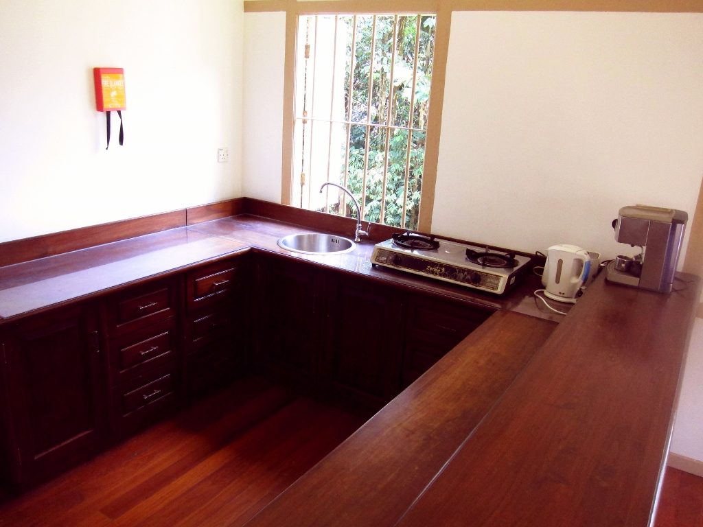 Wooden kitchen counters; kitchen equipped with fridge, two burner stove and appliances