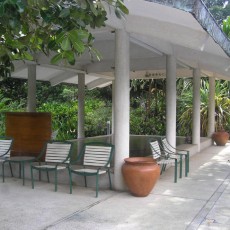 Sites for Dancing in Place