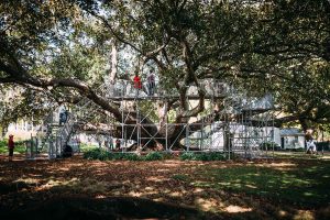 Walking In Trees, 2014, Auckland