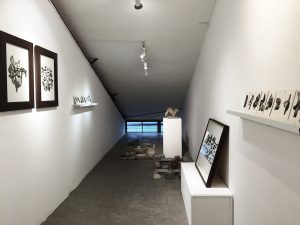 Solo Exhibition - Installation View (2016)