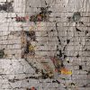 Shadows That Flourish – A Solo Exhibition by Kim Ng