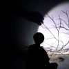 Tan Lay Heong
