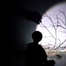 Tan Lay Heong