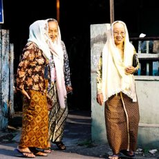 Half of Malaysia, Fundraising Exhibition for WAO