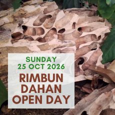 Rimbun Dahan Open Day October 2026